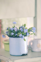 Forget-me-not in rustic cup 