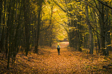 Autumn walk
