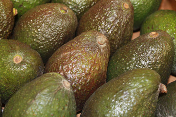 avocats