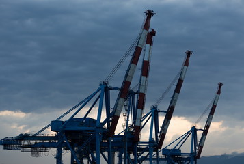 Obraz premium cranes