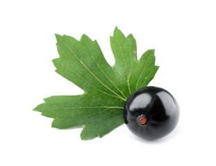Heap of wild black currant with green leaf isolated on white