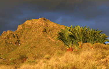 Naklejka premium View of Roque del Conde mountain at sunset,Tenerife,Canary Islands.