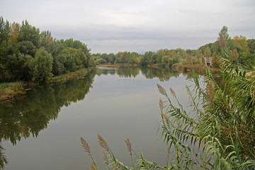 Reflections in Ter River, in Girona, one of autumn day