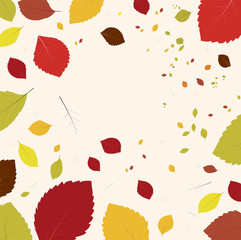 fall colorfull leaves Print