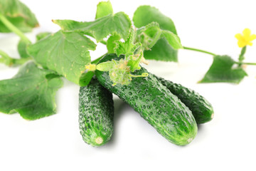 Cucumbers with leafs isolated on white background