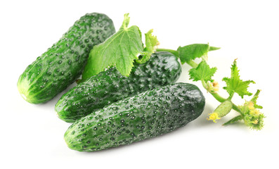 Fresh cucumbers with leafs isolated on white background