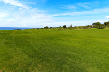 Green field and blue sky