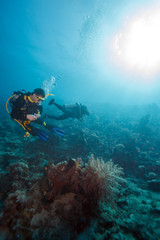 Fototapeta na wymiar Scuba Divers near Sea Bottom