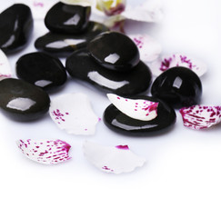 Orchid and zen stones on white background close-up