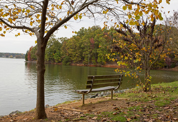 Fototapeta na wymiar Park bench by lake shore