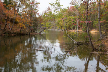 Fototapeta premium Wetlands with fall foliage