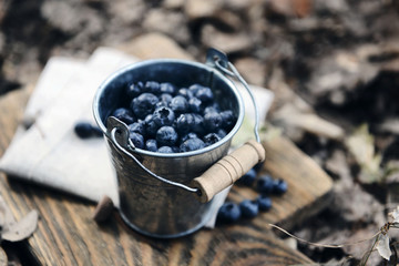 Fototapeta na wymiar Bucket of ripe blueberry on cutting board on the ground