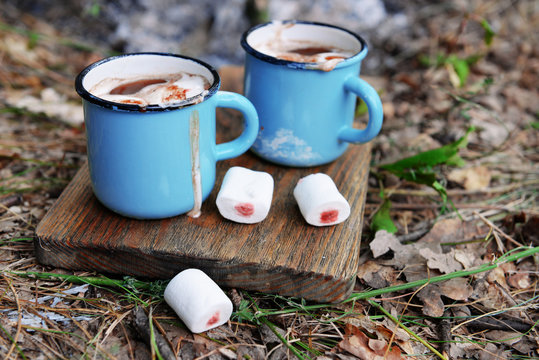 Cocoa with marshmallow in mugs on the ground