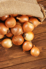 Scattered sac with fresh onions on wooden background