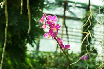 Tasty vegetarian ratatouille made of eggplants, squash, tomatoes in bowl on wooden table background