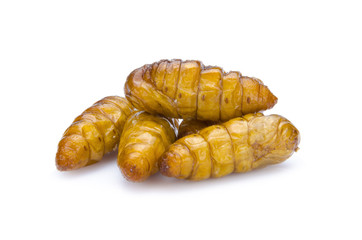 Crispy fried insects amazing menu