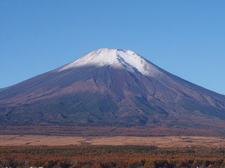 Fototapeta premium 秋の富士山