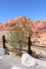 Red Canyon near Las Vegas, Nevada