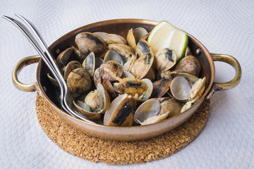 The clams / in the picture we see a plate of steamed clams with lemon