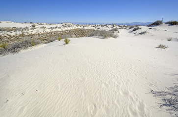 Fototapeta na wymiar White Sands on Cold Sunny Morning