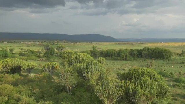 AERIAL: Lush landscape in Africa