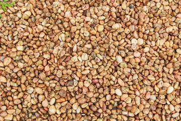 Stone Background