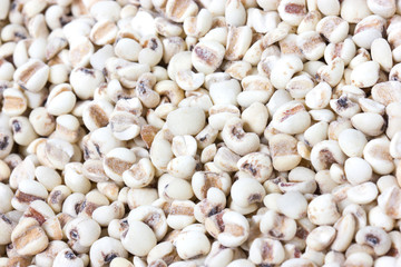 Job's tears texture background.