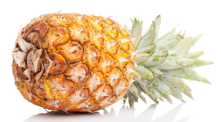 pineapple isolated on a white background