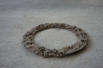 circle of termite hill