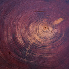 wood texture background