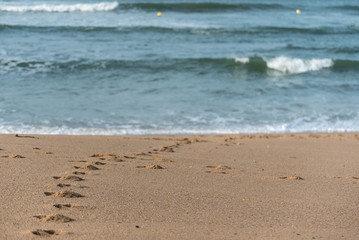 Pas dans le sable