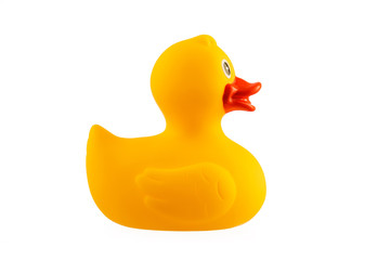 Yellow rubber duck isolated on white