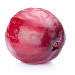 Pomerac, Malay Apple (Syzygium malaccense (L.) Merrill & Perry).