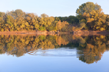 circles on the water