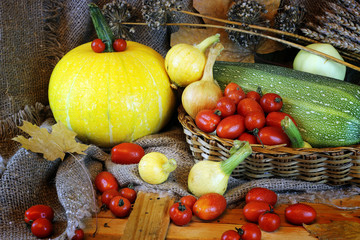 Tomato harvest of pumpkins and autumn vegetables