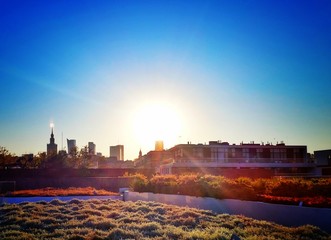 Sun over buildings at sunset in Warsaw