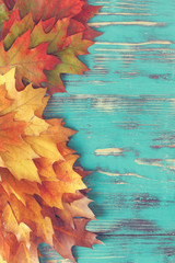Colorful autumn leaves. Collection of fall leaves on rustic background