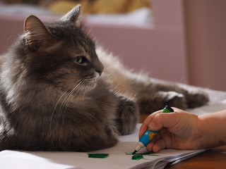 Зеленый. Кот с зелеными глазами смотрит, как ребенок в зеленой майке рисует зеленым фломастером на листе бумаги