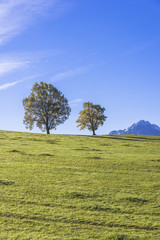 ババリア地方の田園風景