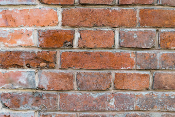 Old brick wall. Texture for background.