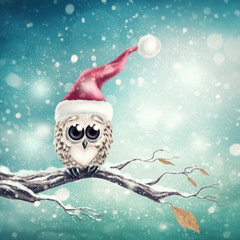 Little snow owl © Elena Schweitzer