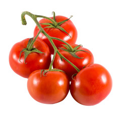 fresh red tomato