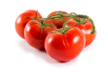 fresh red tomato