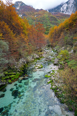 Mountain stream in autumn, Julian Alps, Italy