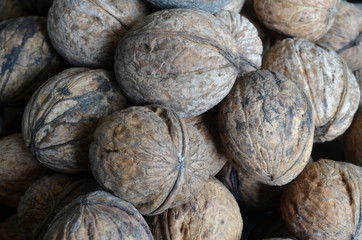 walnuts in shell  
