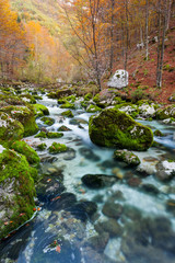Mountain stream in autumn, Julian Alps, Italy