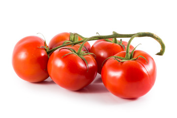 fresh red tomato