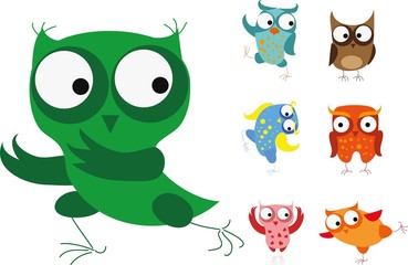 Set of vector cartoon birds - owls