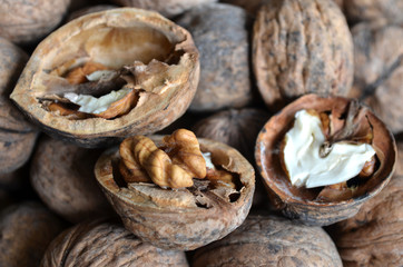 core walnut in the form of heart on the background of walnuts in shell  
