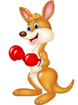 Cartoon kangaroo boxing isolated on white background